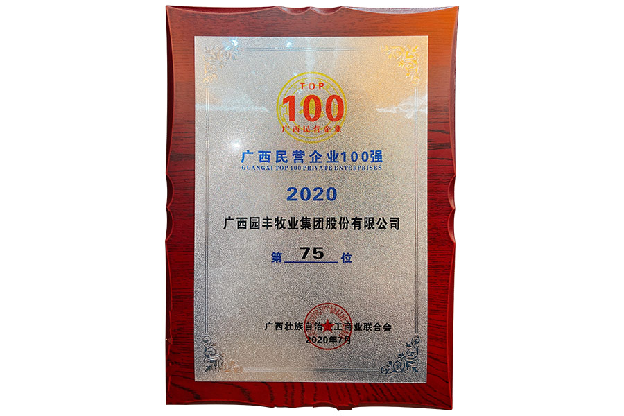 廣西民營企業(yè)100強第75位